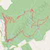 Warrie Circuit - Springbrook National Park trail, distance, elevation, map, profile, GPS track