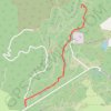 Denman common for Orienteering event trail, distance, elevation, map, profile, GPS track