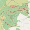 Ballinastoe Wood MTB Loop trail, distance, elevation, map, profile, GPS track