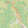 Craig Y Llyn loop trail, distance, elevation, map, profile, GPS track